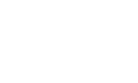 DSVLine